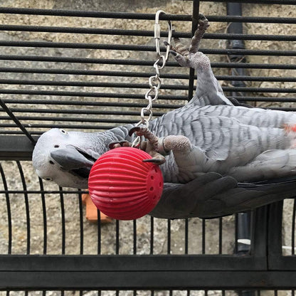 Birdy Babble Ball