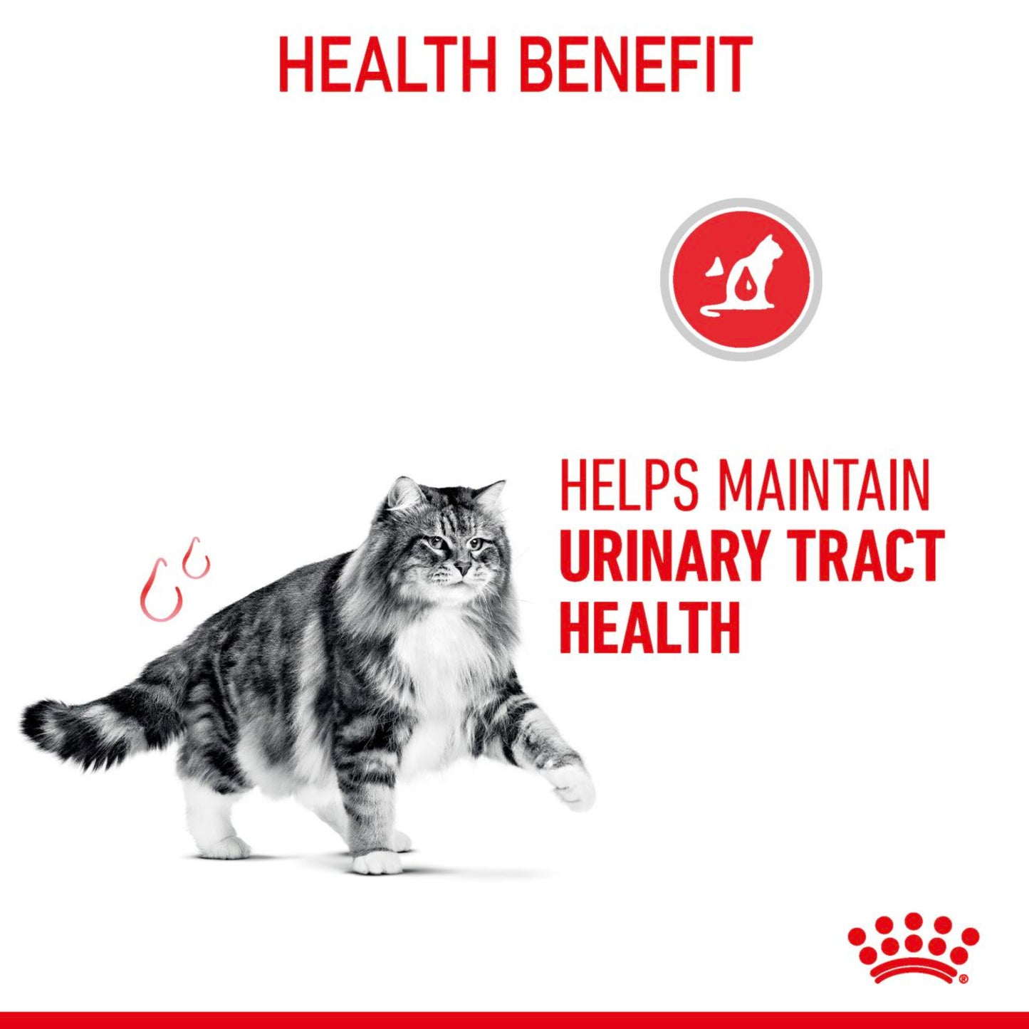 Royal Canin Cat Urinary Care Thin Slices In Jelly 85g