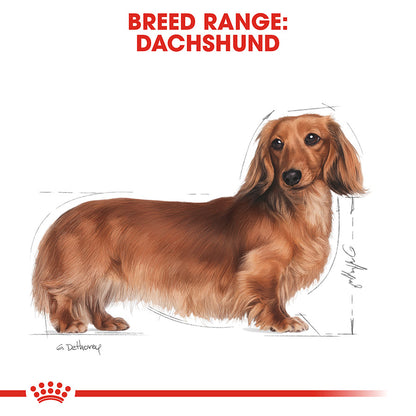 Royal Canin Adult Dachshund Loaf 85g