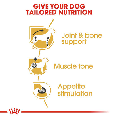 Royal Canin Adult Dachshund Loaf 85g