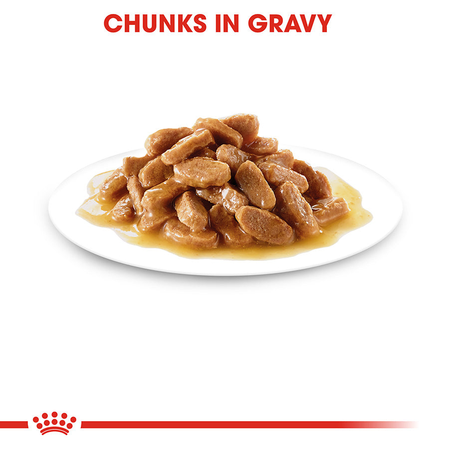 Royal Canin Mini Puppy Chunks In Gravy 85g