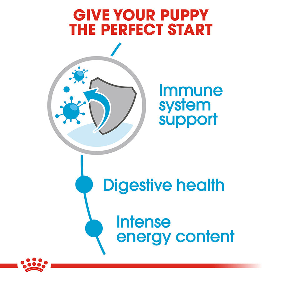 Royal Canin Mini Puppy Chunks In Gravy 85g