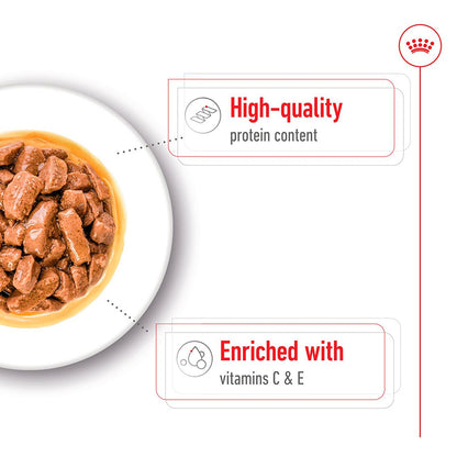 Royal Canin Dog Medium Adult Chunks In Gravy 140g