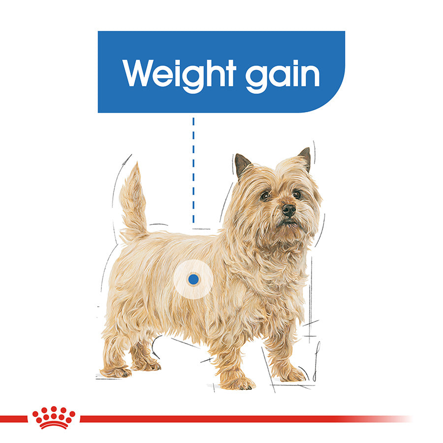 Royal Canin Dog Light Weight Care Loaf 85g