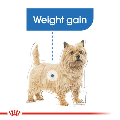 Royal Canin Dog Light Weight Care Loaf 85g