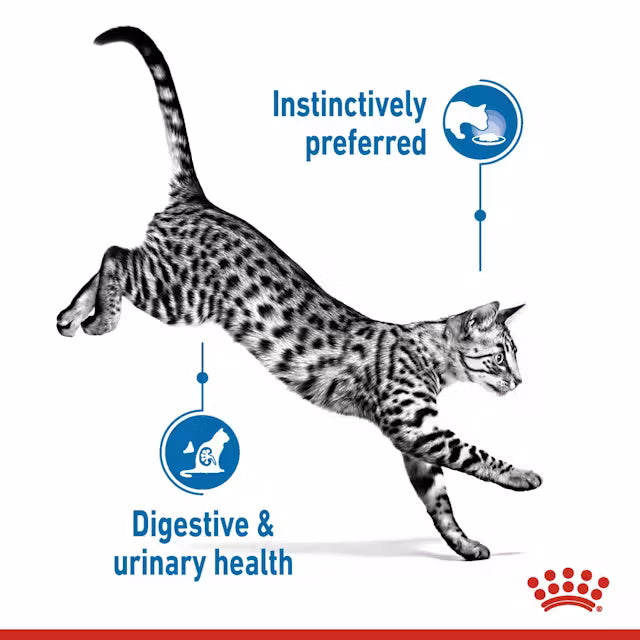 Royal Canin Cat Indoor Sterilised Morsels In Gravy 85g