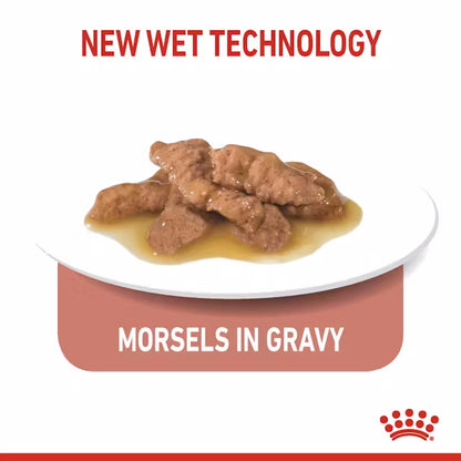 Royal Canin Cat Indoor Sterilised Morsels In Gravy 85g