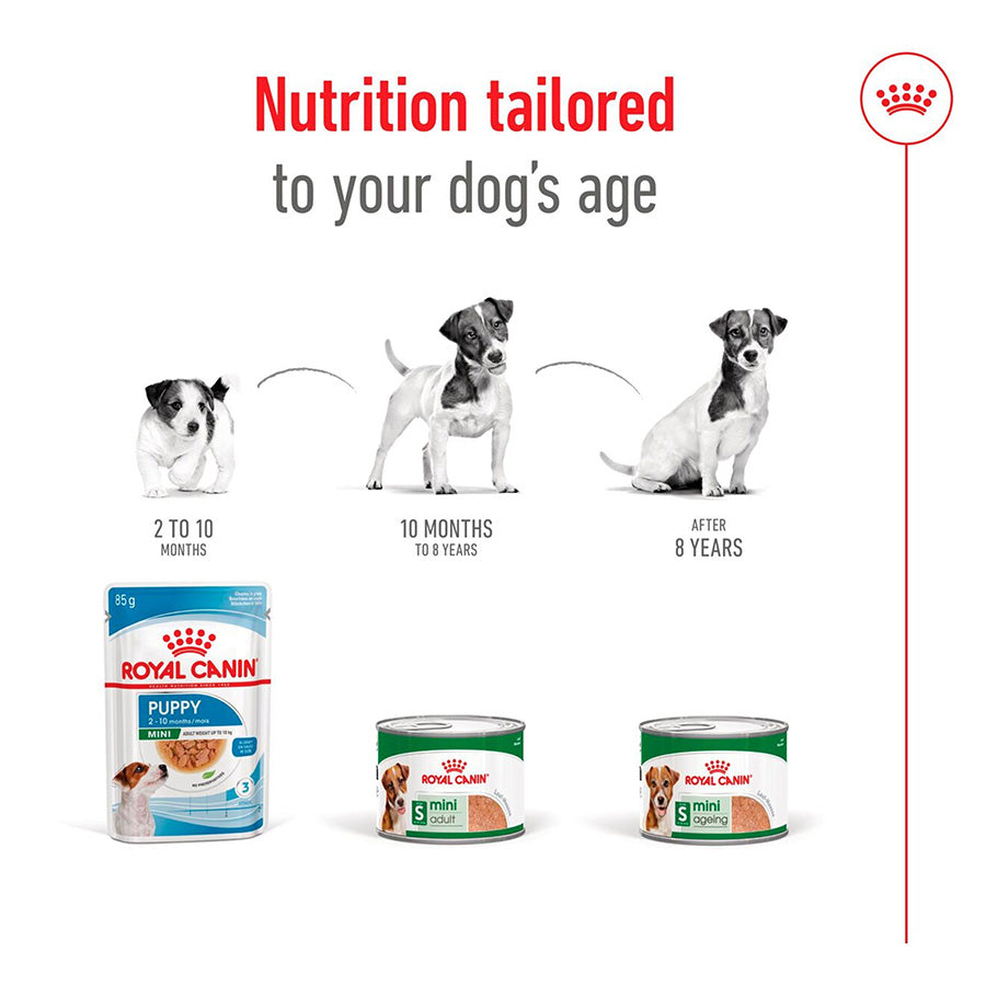 Royal Canin Mini Adult In Loaf  Dog Food Can 195g