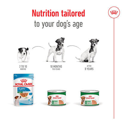 Royal Canin Mini Adult In Loaf  Dog Food Can 195g
