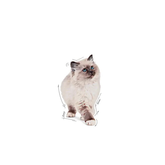 Royal Canin Kitten Instinctive Chunks In Gravy 85g