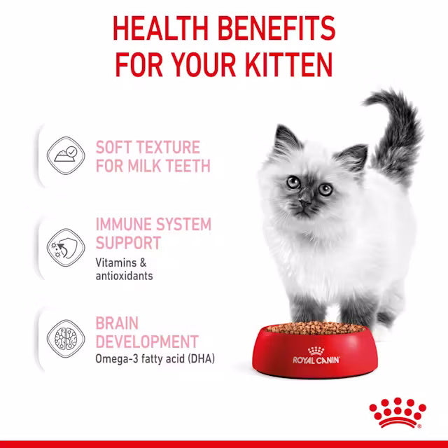 Royal Canin Kitten Instinctive Chunks In Gravy 85g