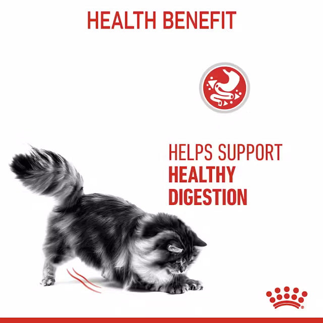 Royal Canin Cat Digestive Care Thin Slices In Gravy 85g