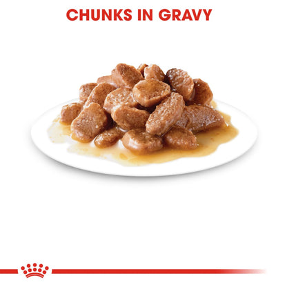 Royal Canin Ageing 11+ Chunks In Gravy Cat Food 85g