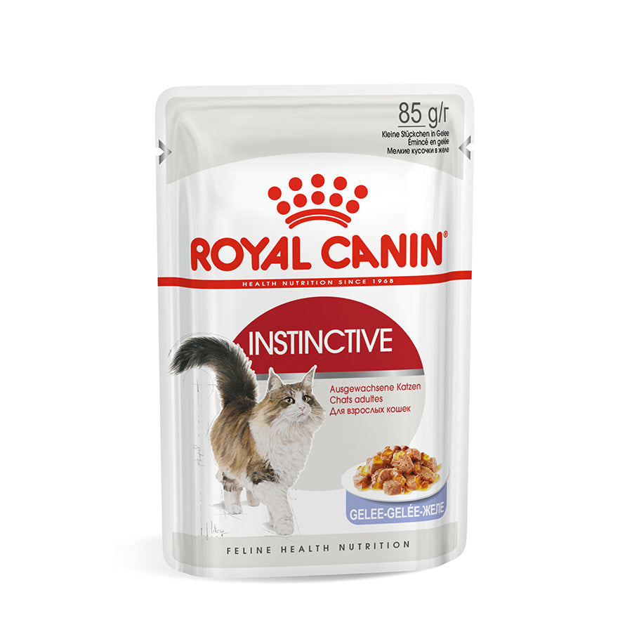 Royal Canin Kitten Chunks In Jelly 85g