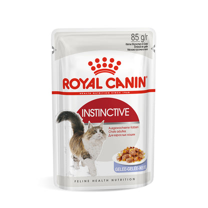 Royal Canin Kitten Chunks In Jelly 85g