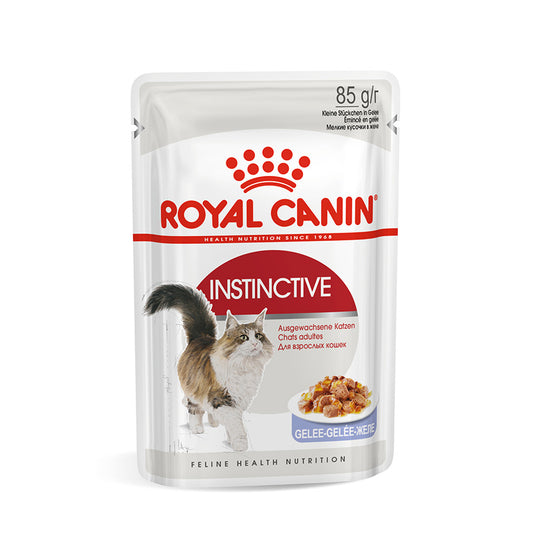 Royal Canin Kitten Chunks In Jelly 85g