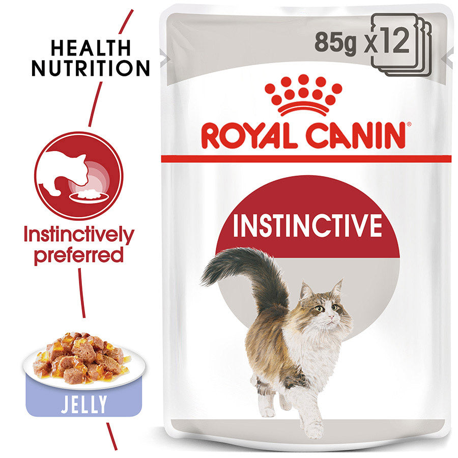 Royal Canin Kitten Chunks In Jelly 85g