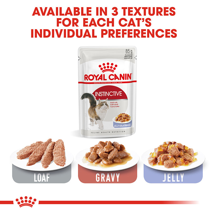 Royal Canin Kitten Chunks In Jelly 85g