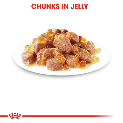 Royal Canin Kitten Chunks In Jelly 85g
