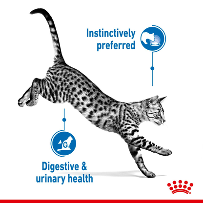 Royal Canin Cat Sterilised Chunks In Jelly 85g