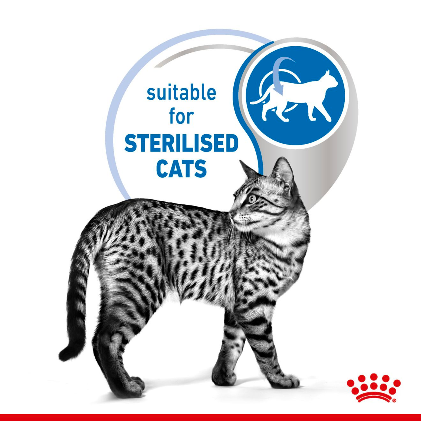 Royal Canin Cat Sterilised Chunks In Jelly 85g