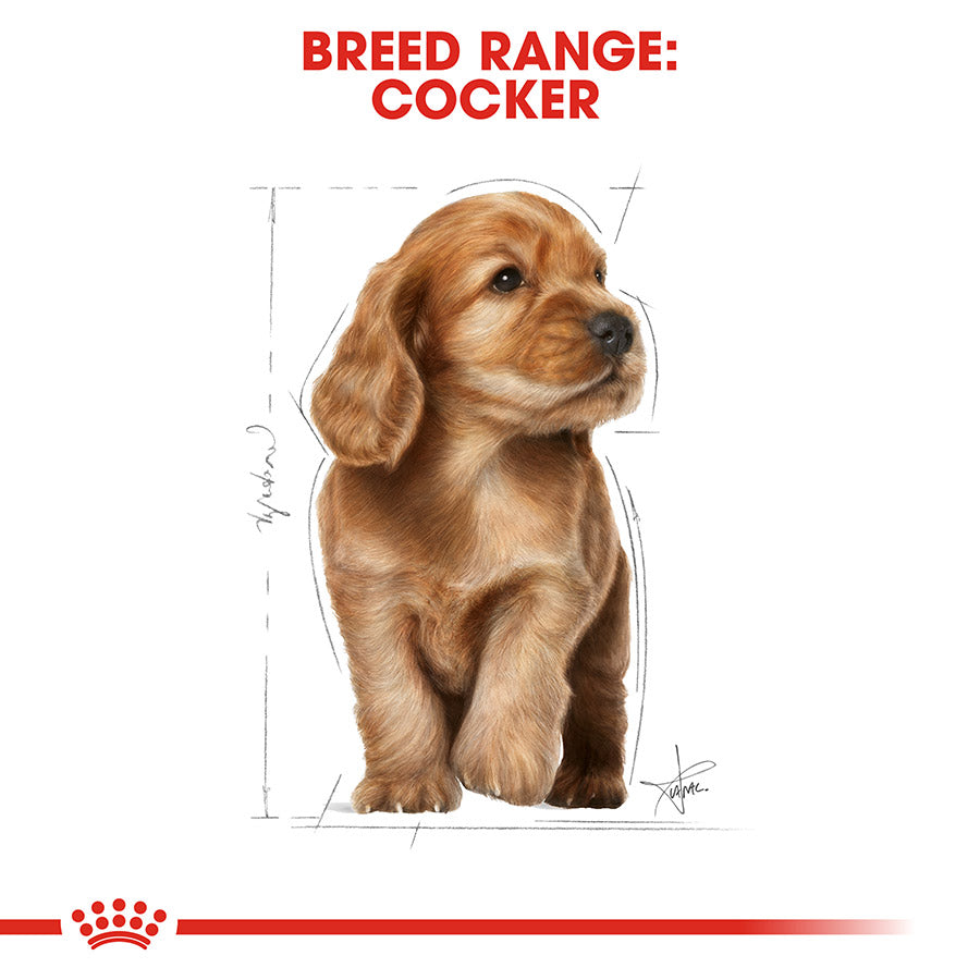 Royal Canin Cocker Spaniel Puppy Food 3kg