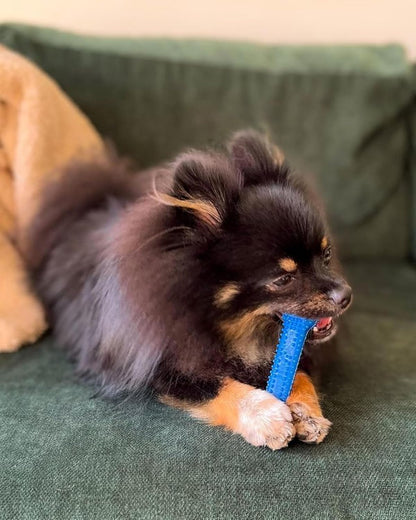 Nylabone Dental Chicken Bone Small