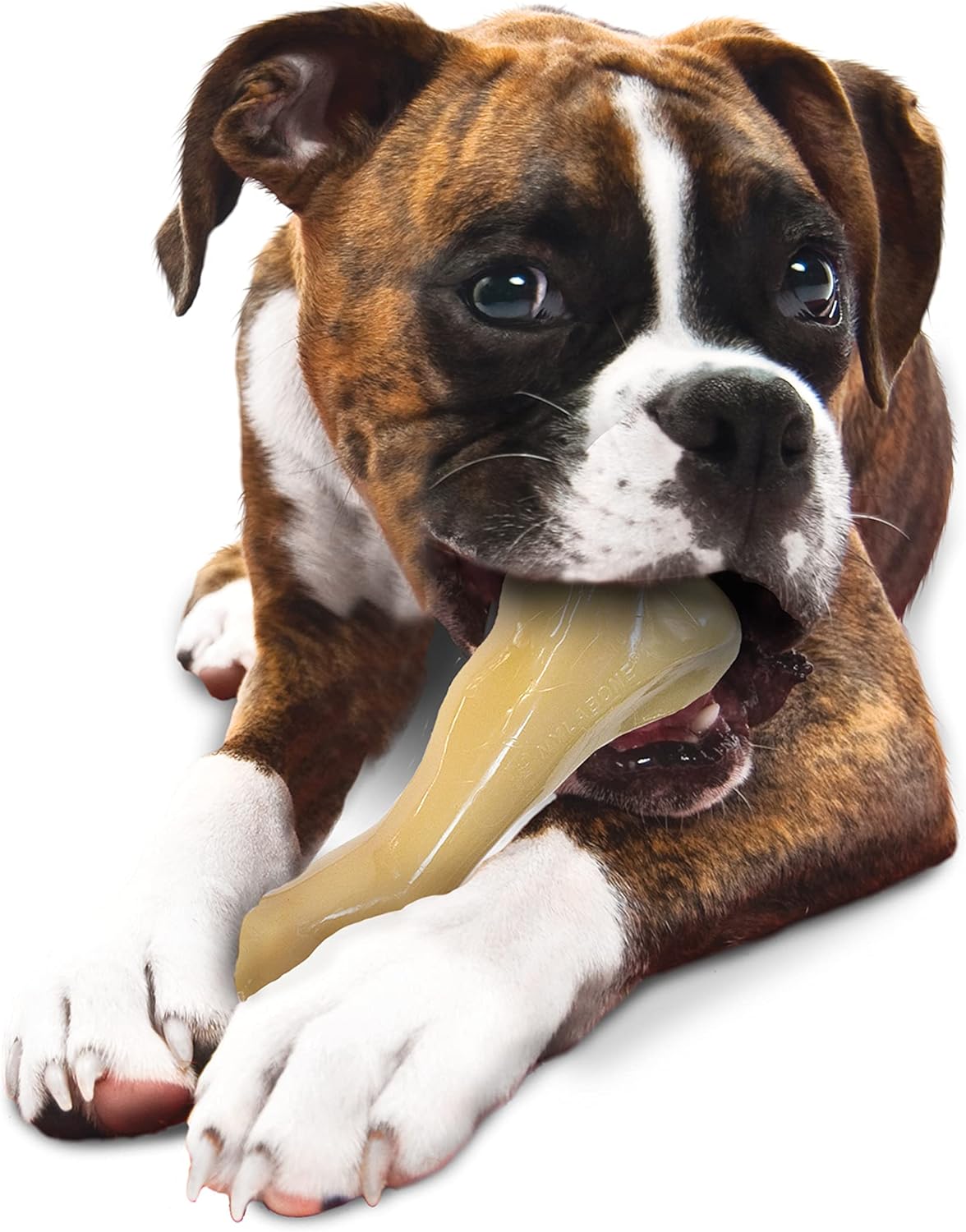 Nylabone Big Chew Chicken Bone Xx Large