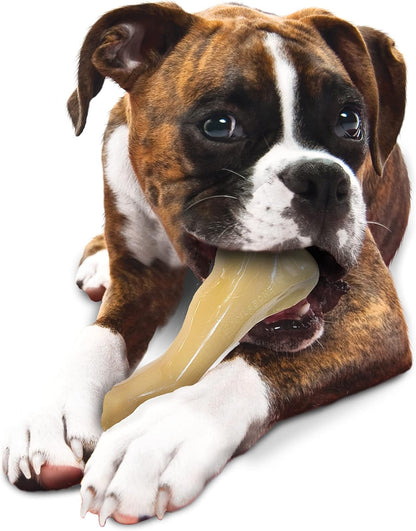 Nylabone Big Chew Chicken Bone Xx Large