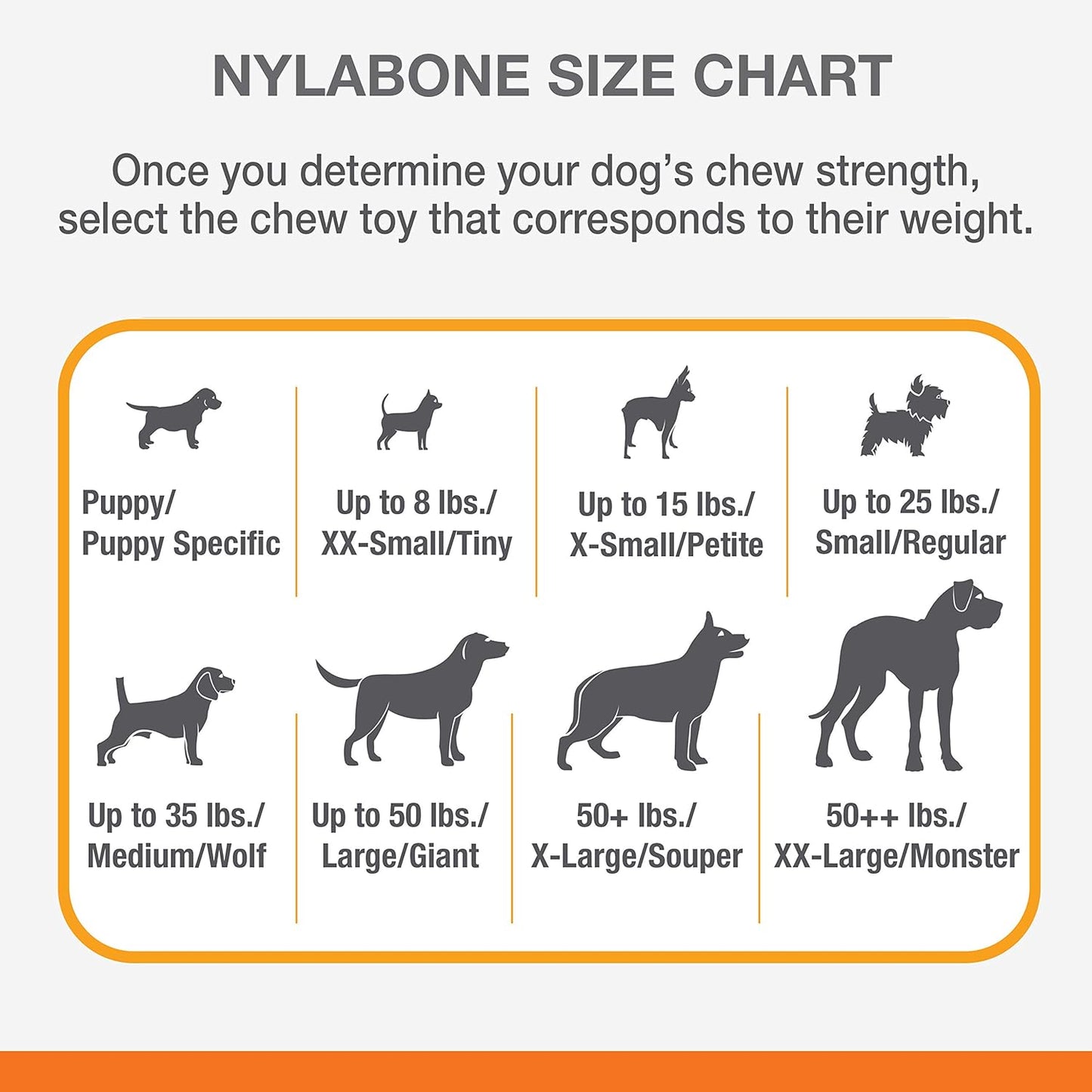 Nylabone Big Chew Chicken Bone Xx Large