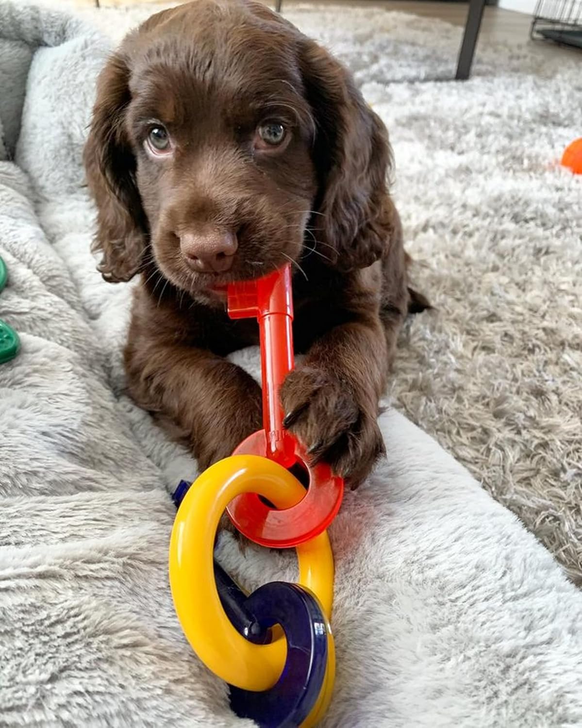 Nylabone Puppy Teething Keys Small