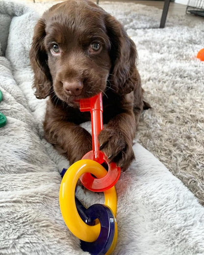 Nylabone Puppy Teething Keys Small