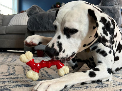 Nylabone Extreme Double Bone Bacon Medium
