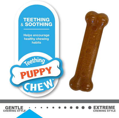 Nylabone Puppy Twin Pack Petite