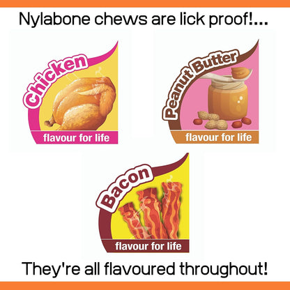 Nylabone Extreme Triple Value Pack Small Dog