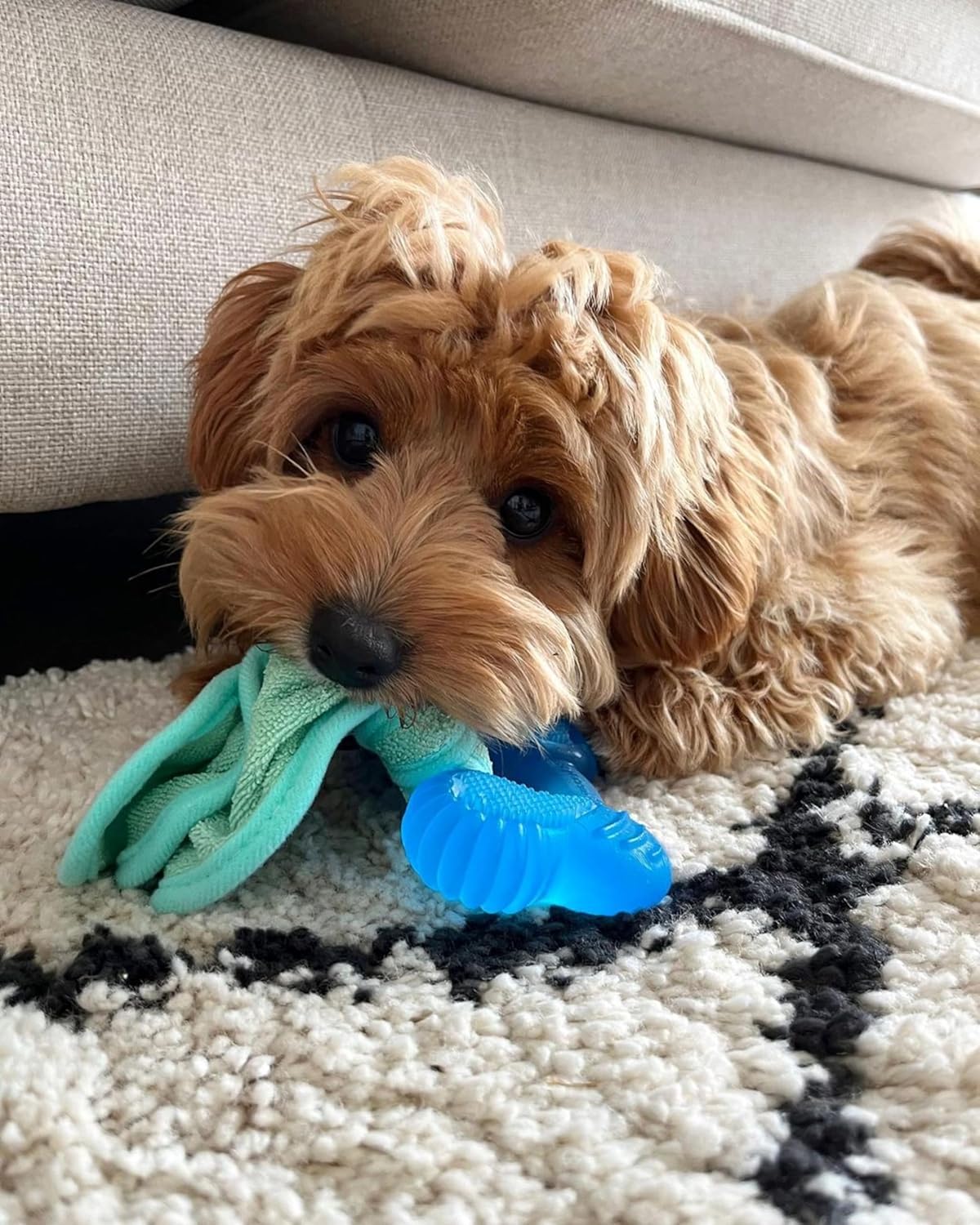 Nylabone Puppy Freezer Bone With Wash Cloth
