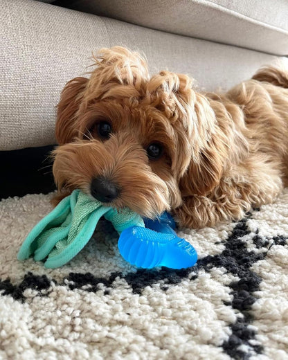 Nylabone Puppy Freezer Bone With Wash Cloth