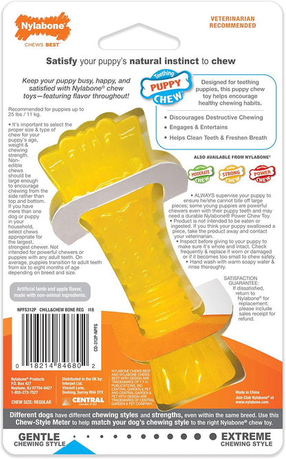 Nylabone Puppy Chill & Chew Small