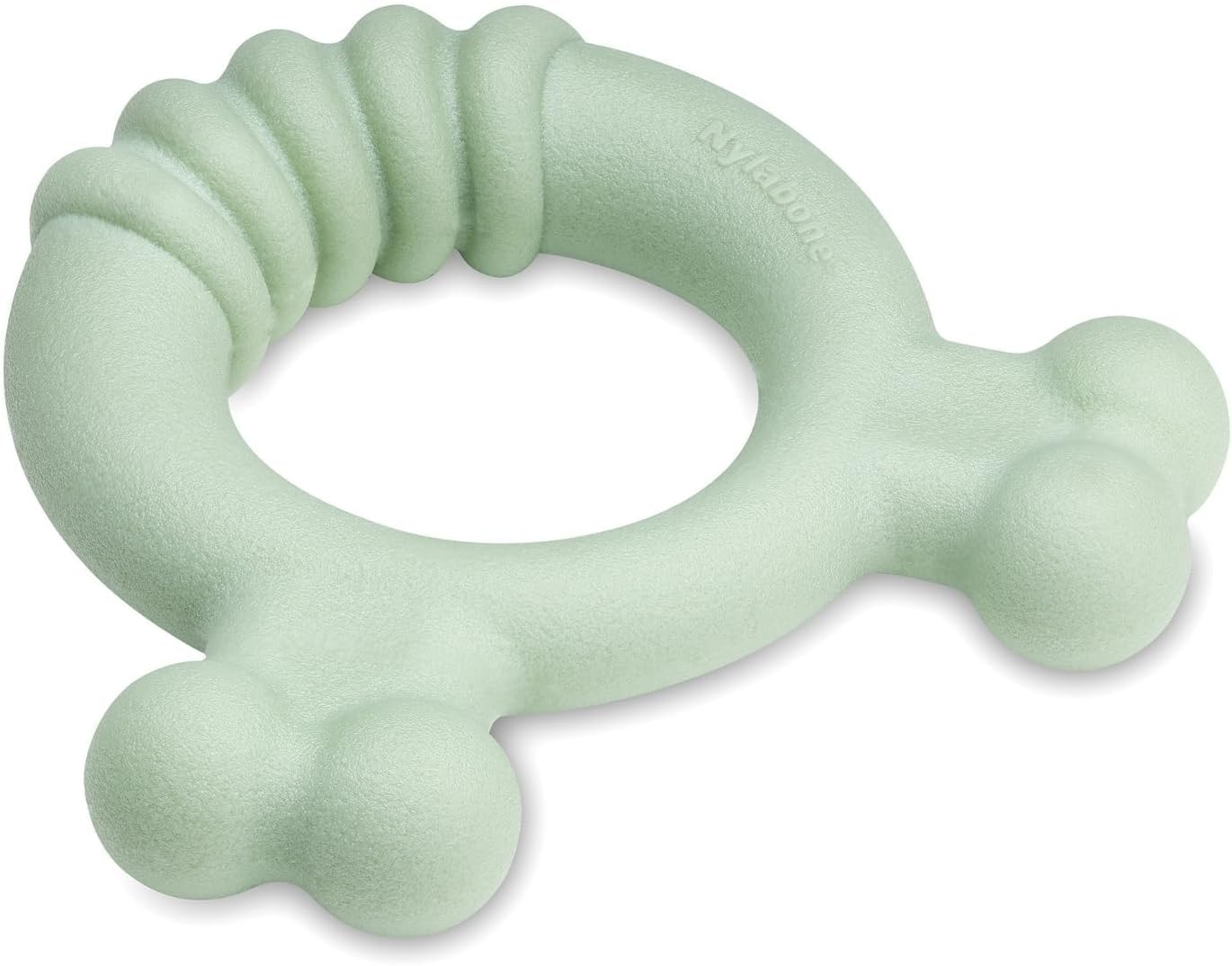Nylabone Puppy Tactile Ring Chicken Small