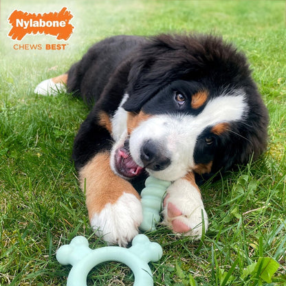Nylabone Puppy Tactile Ring Chicken Small