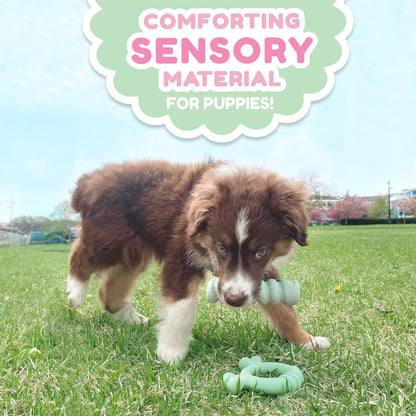 Nylabone Puppy Tactile Ring Chicken Small