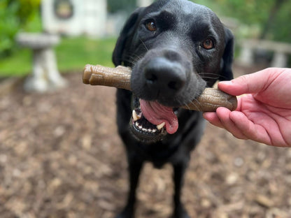 Nylabone Gourmet Stick X Large Peanut Butter