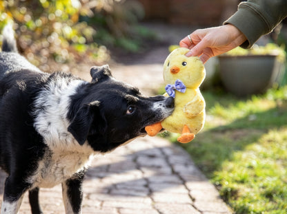Rosewood Bunny & Boop Chirpy Chick Easter Soft Dog Toy