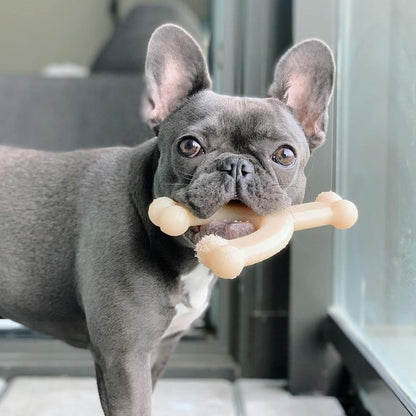 Nylabone Dura Chew Wishbone Medium