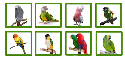 Wundapets Buckingham Parrot Stand Stone White
