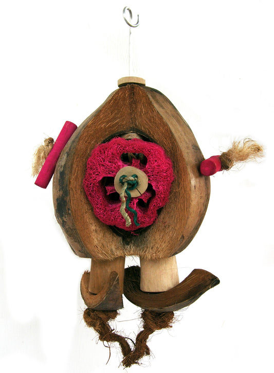 Java Coco De Nut Parrot Toy
