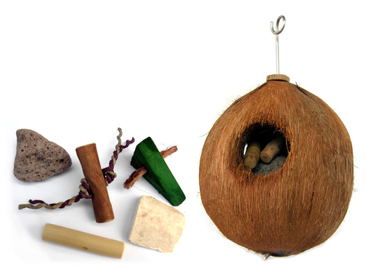 Java Coco Full Moon Parrot Toy