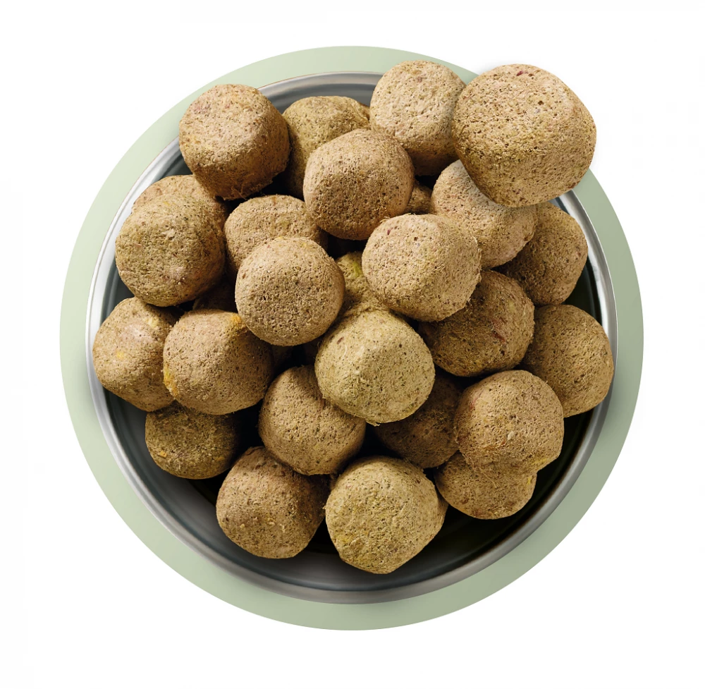 Natures Menu Freeze Dried 80/20 Lamb 250g