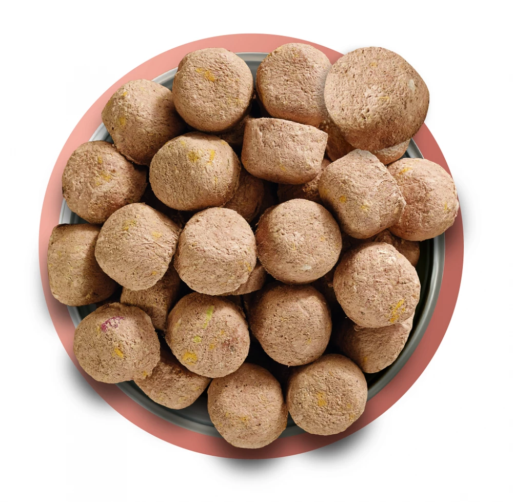 Natures Menu Freeze Dried 80/20 Beef 250g