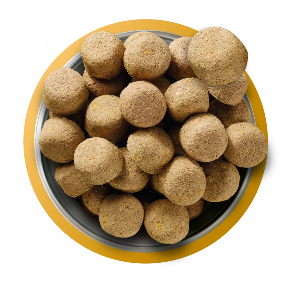 Natures Menu Freeze Dried 80/20 Chicken 250g